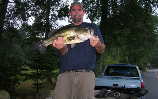 Early Summer Bass Fishing: 7 Proven Tips for More Bites