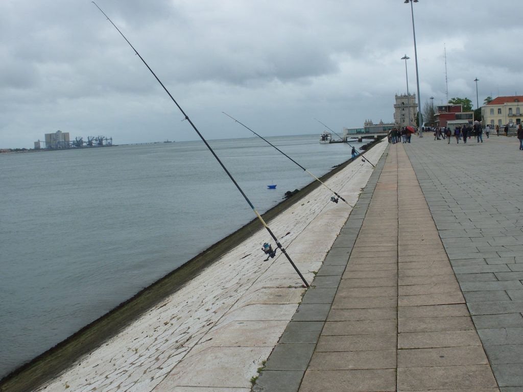 Freshwater fishing rod setup