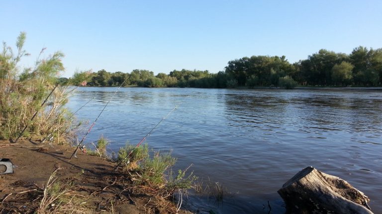 Angler using a fishing rod beside freshwater for rod and reel comparison